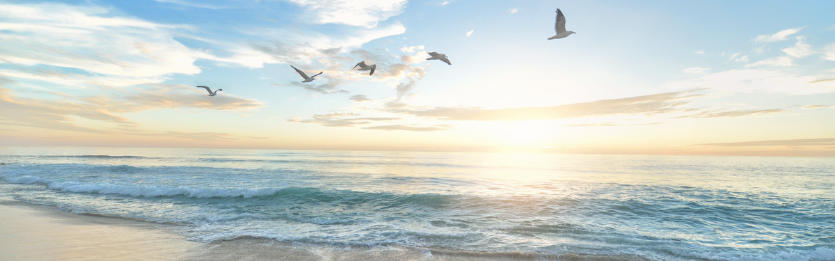 Vögel über dem Meer bei Sonnenuntergang als Symbol für die Verbindung ins Jenseits