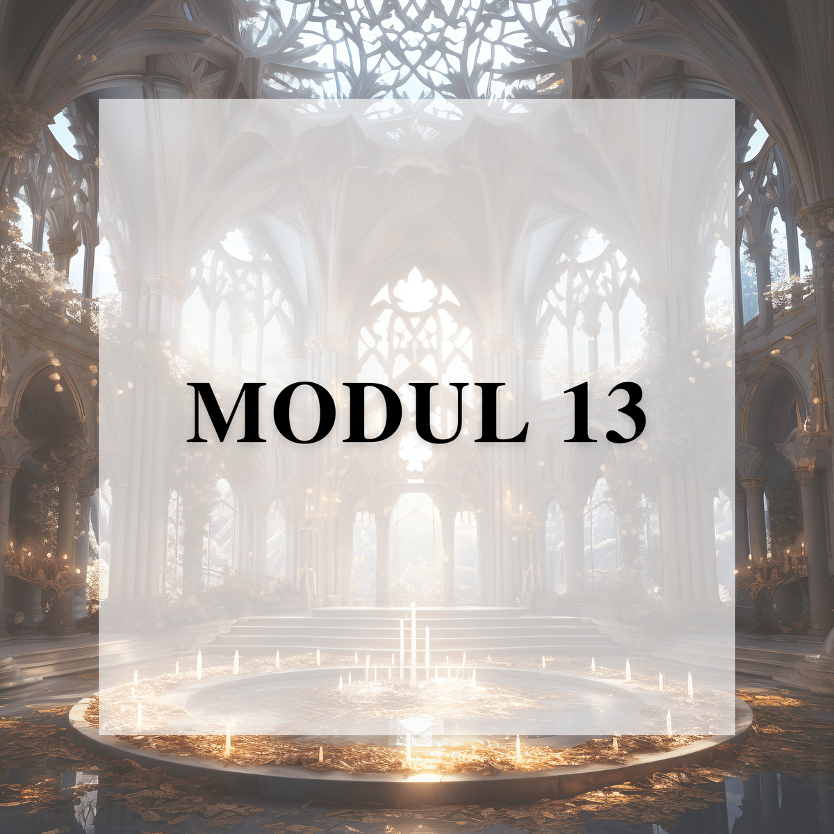 Modul 13 der Medium Ausbildung zum Lesen in der Akasha Chronik
