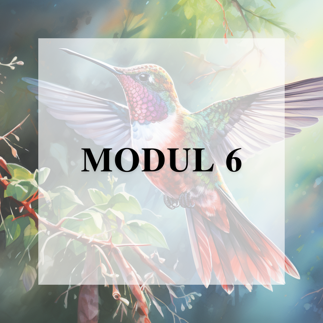 Modul 6 der Medium Ausbildung über Krafttiere und mediale Arbeit