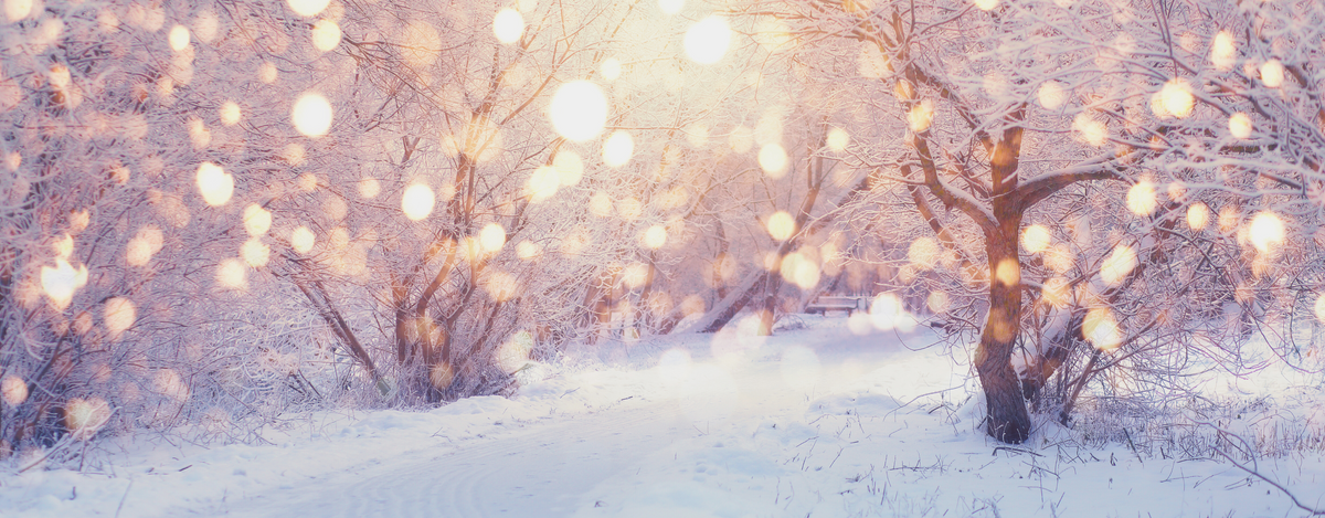 verschneiter Winterweg mit magischem Lichterglanz zur Zeit der Rauhnächte